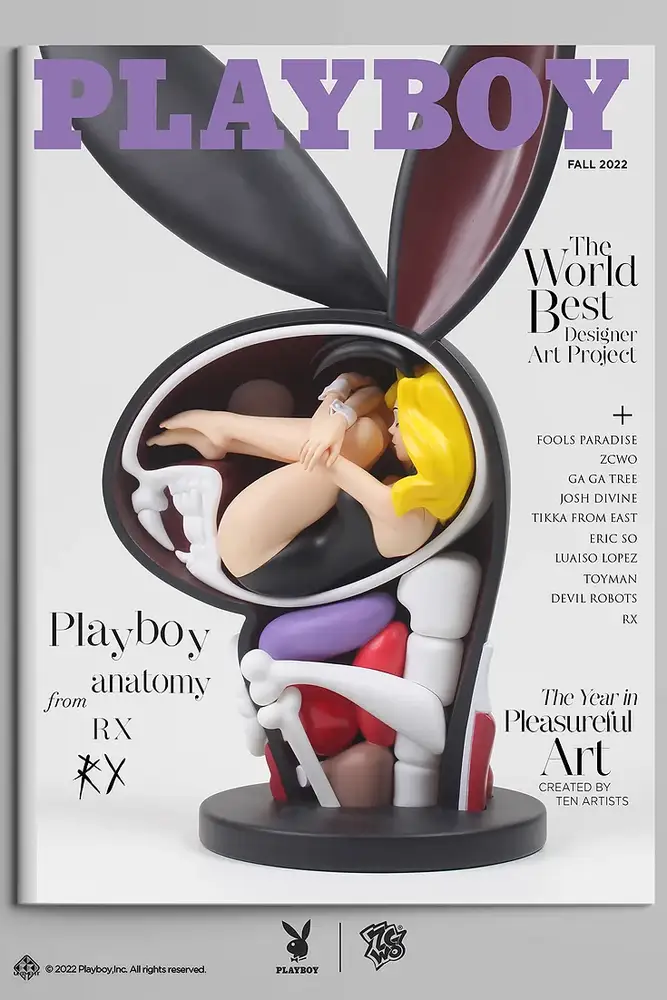 ZCWO X Playboy #1 Playboy Anatomy